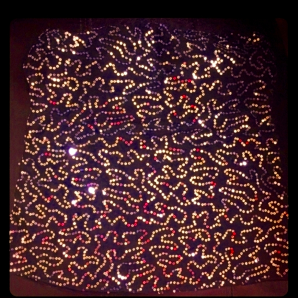 💋 Sexy Sequin Top : NWOT 💋